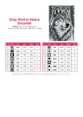 Thumbnail for Grey Wolf in Heavy Snowfall timanttimaalauksen värikartta – 14 DMC-väriä