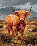 Thumbnail for Timanttikuvio - Heather and Horns
