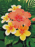 Thumbnail for Timanttikuvio - Hibiscus and Plumeria