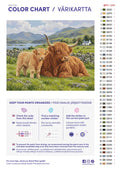Thumbnail for Numeromaalaus: Värikartta ja ohjeet - Highland Cow and Calf at Rest 50x40cm