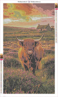 Thumbnail for Highland Cow at Sunset timanttimaalauksen liimapintainen canvas 40x70cm