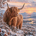 Thumbnail for Timanttikuvio - Highland Cow, Winter