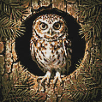 Thumbnail for Timanttikuvio - Hollow Tree Owl