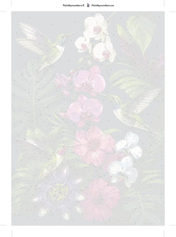 Numeroitu kangas - Hummingbirds and Orchids 50x70cm