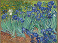 Thumbnail for Irises timanttimaalaus - Van Gogh