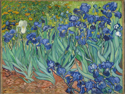 Irises timanttimaalaus - Van Gogh