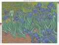 Thumbnail for Irises timanttimaalauksen liimapintainen canvas 80x60cm
