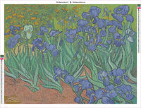 Thumbnail for Irises timanttimaalauksen liimapintainen canvas 80x60cm