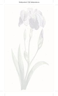 Thumbnail for Numeroitu kangas - Japanese Iris Large Blue Iris 40x70cm