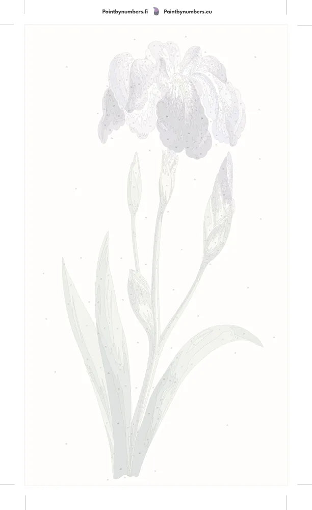 Numeroitu kangas - Japanese Iris Large Blue Iris 40x70cm