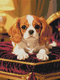 Thumbnail for Timanttikuvio - King Charles Spaniel