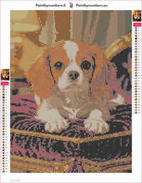 Thumbnail for King Charles Spaniel timanttimaalauksen liimapintainen canvas 30x40cm