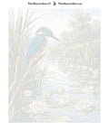 Thumbnail for Numeroitu kangas - Kingfisher and Water Lilies 40x50cm