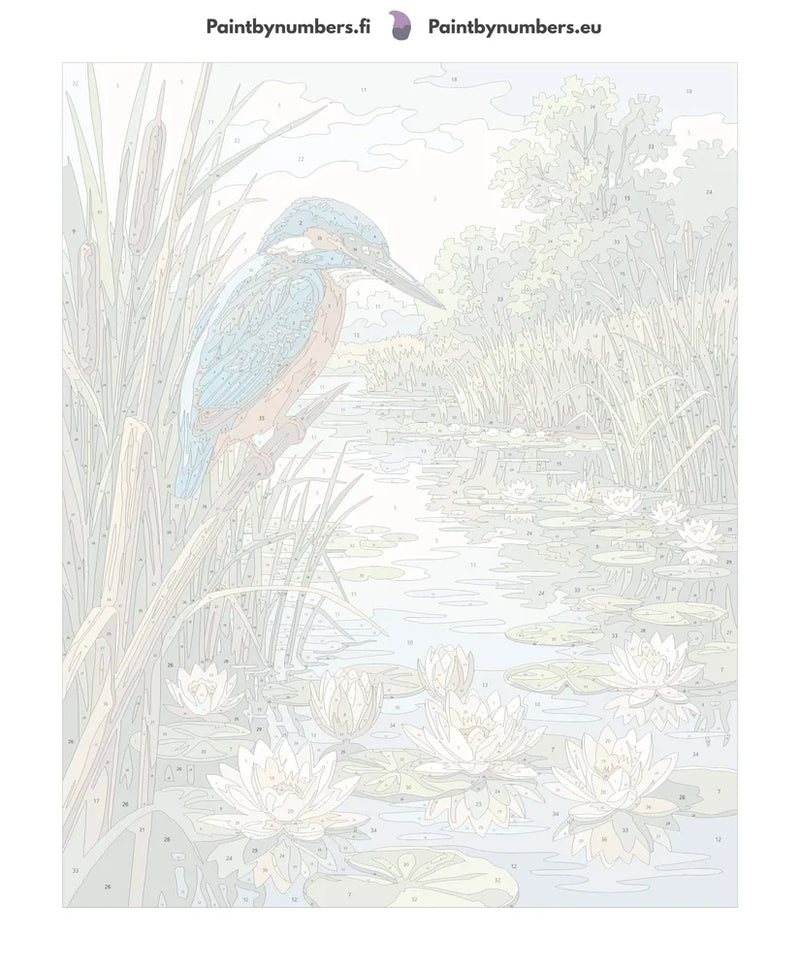 Numeroitu kangas - Kingfisher and Water Lilies 40x50cm