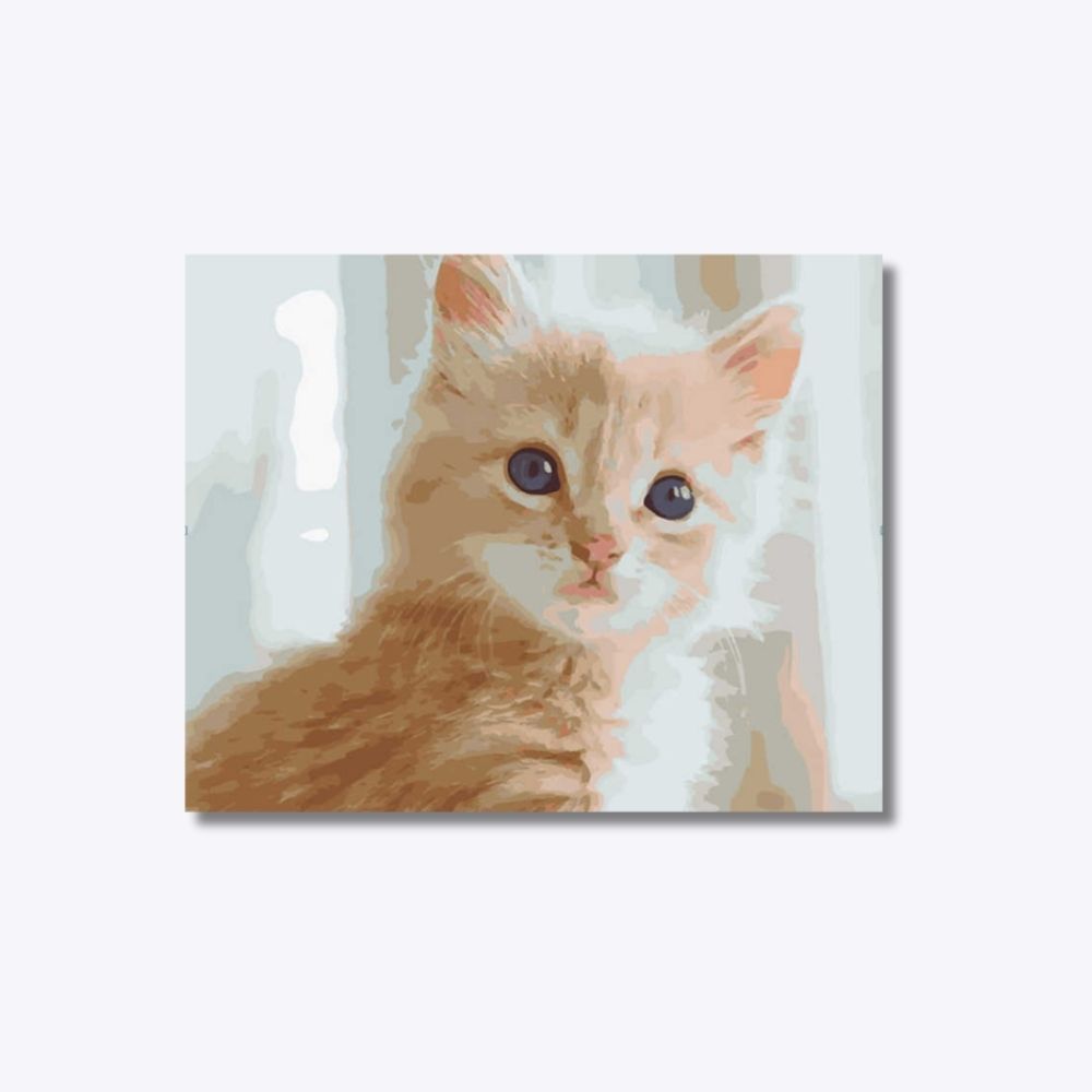 Kitten 40x50cm - Timanttimaalaus
