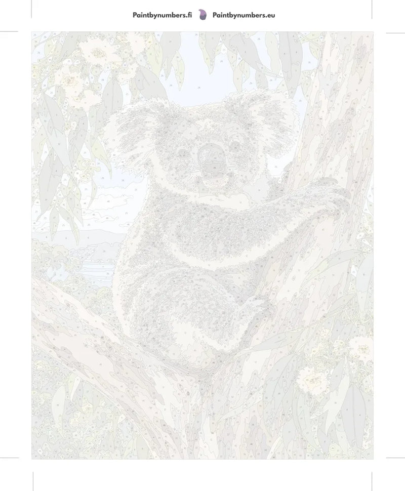 Numeroitu kangas - Koala on Eucalyptus Tree 40x50cm
