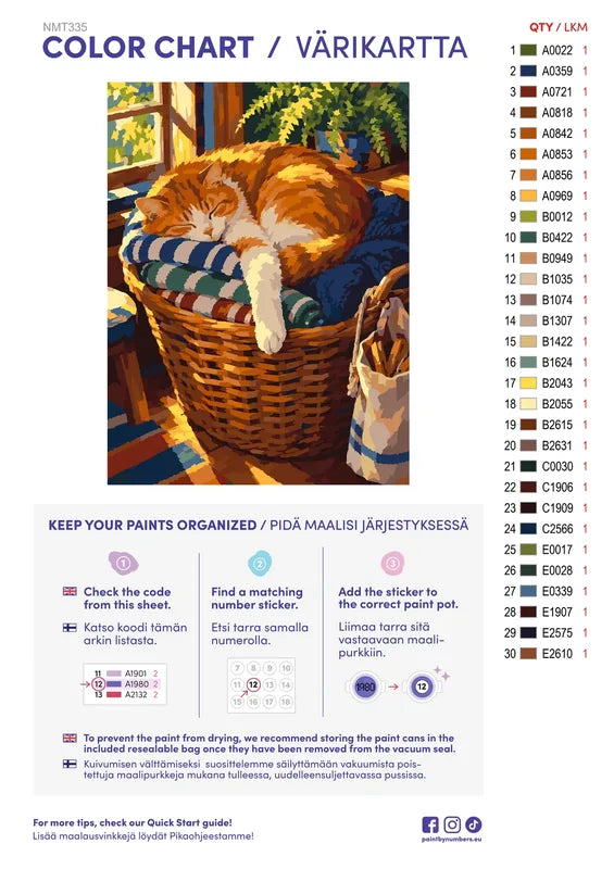 Numeromaalaus: Värikartta ja ohjeet - Laundry Day Cat 30x40cm