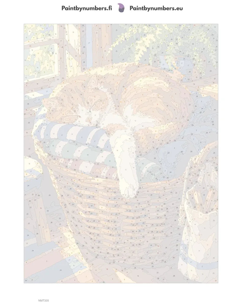 Numeromaalaus: Numeroitu kangas - Laundry Day Cat 30x40cm