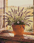 Thumbnail for Timanttikuvio - Lavender in Window
