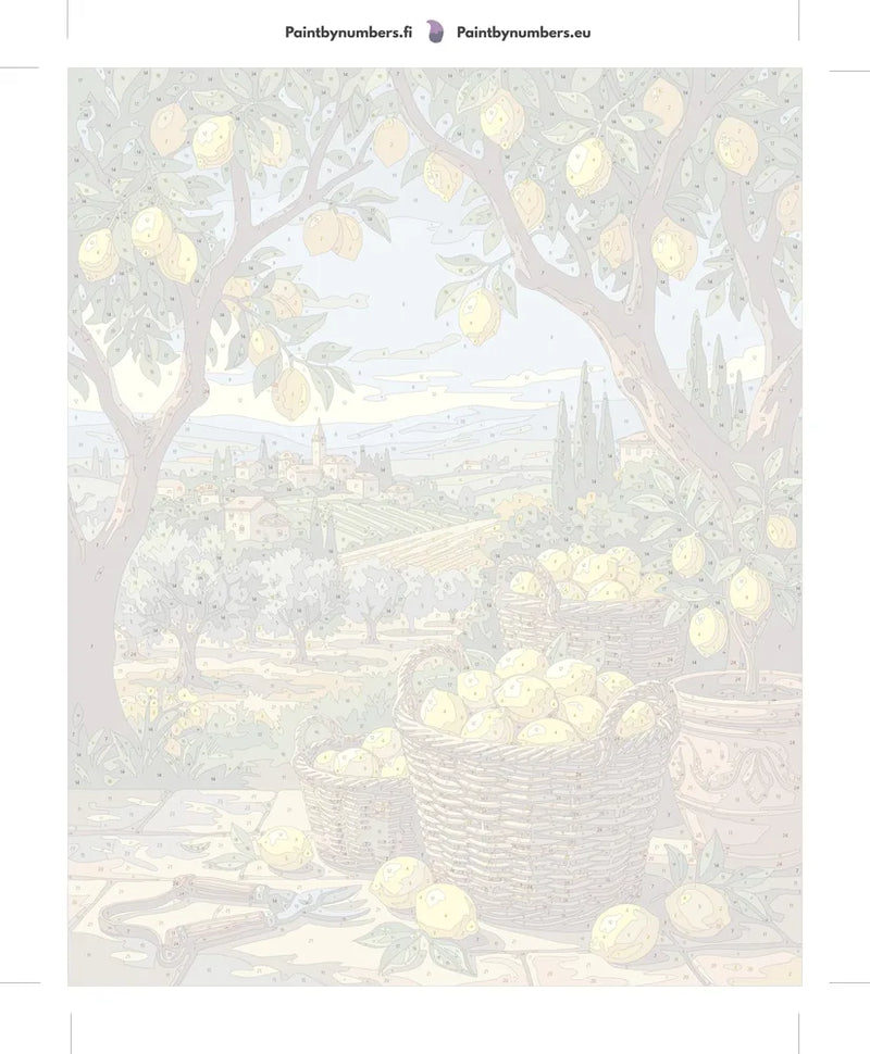 Numeroitu kangas - Lemon Baskets in Countryside 40x50cm