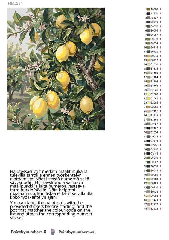 Värikartta ja ohjeet - Lemon Tree Branches 40x50cm