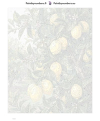 Thumbnail for Numeroitu kangas - Lemon Tree Branches 40x50cm