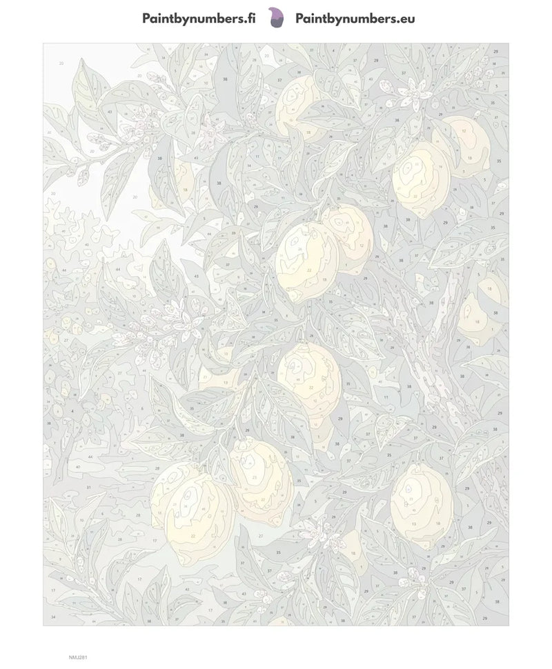 Numeroitu kangas - Lemon Tree Branches 40x50cm