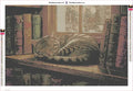 Thumbnail for Library Cat timanttimaalauksen liimapintainen canvas 60x40cm