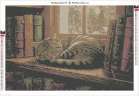 Thumbnail for Library Cat timanttimaalauksen liimapintainen canvas 60x40cm