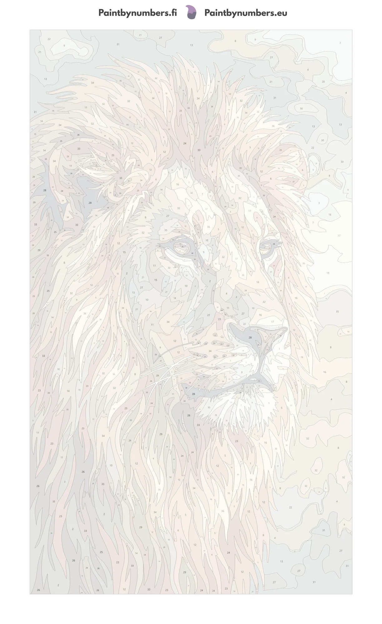 Numeroitu kangas - Lion Portrait Close-Up 40x70cm