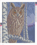 Thumbnail for Long-eared Owl in Birch Twilight timanttimaalauksen liimapintainen canvas 40x50cm