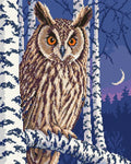 Thumbnail for Sarvipöllö koivujen keskellä hämärässä, 40x50 cm timanttimaalaus – lopullisen kuvion esikatselu