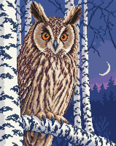 Sarvipöllö koivujen keskellä hämärässä, 40x50 cm timanttimaalaus – lopullisen kuvion esikatselu