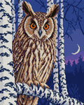 Thumbnail for Sarvipöllö koivujen keskellä hämärässä, 40x50 cm timanttimaalaus – koko kuvion esikatselu
