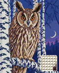 Thumbnail for Sarvipöllö koivujen keskellä hämärässä, 40x50 cm timanttimaalaus – kuvio ja neliötimanttien lähikuva