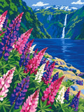 Thumbnail for Numeromaalaus, jossa lupiinit kukkivat vuonon rannalla ja taustalla putous laskee vuorelta