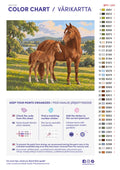 Thumbnail for Numeromaalaus: Värikartta ja ohjeet - Meadow Mare and Foal 50x40cm
