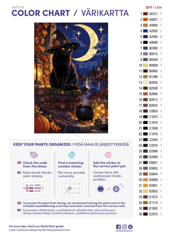 Numeromaalaus: Värikartta ja ohjeet - Moon Witch Cat 40x60cm