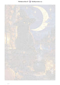 Thumbnail for Numeromaalaus: Numeroitu kangas - Moon Witch Cat 40x60cm