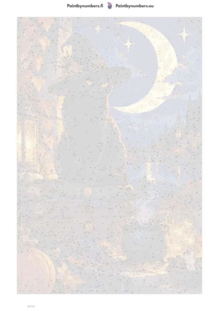 Numeromaalaus: Numeroitu kangas - Moon Witch Cat 40x60cm