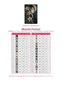 Thumbnail for Moonlit Portrait timanttimaalauksen värikartta – 30 DMC-väriä