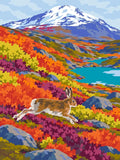 Thumbnail for Numeromaalaus metsäjäniksestä, joka loikkaa ruskan värittämällä tunturirinteellä lumihuippuisen vuoren ja järven edessä.