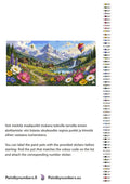 Thumbnail for Värikartta ja ohjeet - Mountain Village and Wildflowers 120x60cm