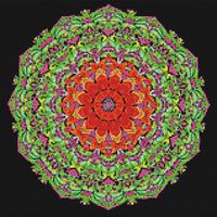 Thumbnail for Timanttikuvio - Natural Colors Mandala