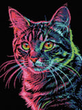 Thumbnail for Timanttikuvio - Neon Cat Portrait