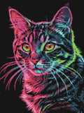 Thumbnail for Timanttikuvio - Neon Cat Portrait