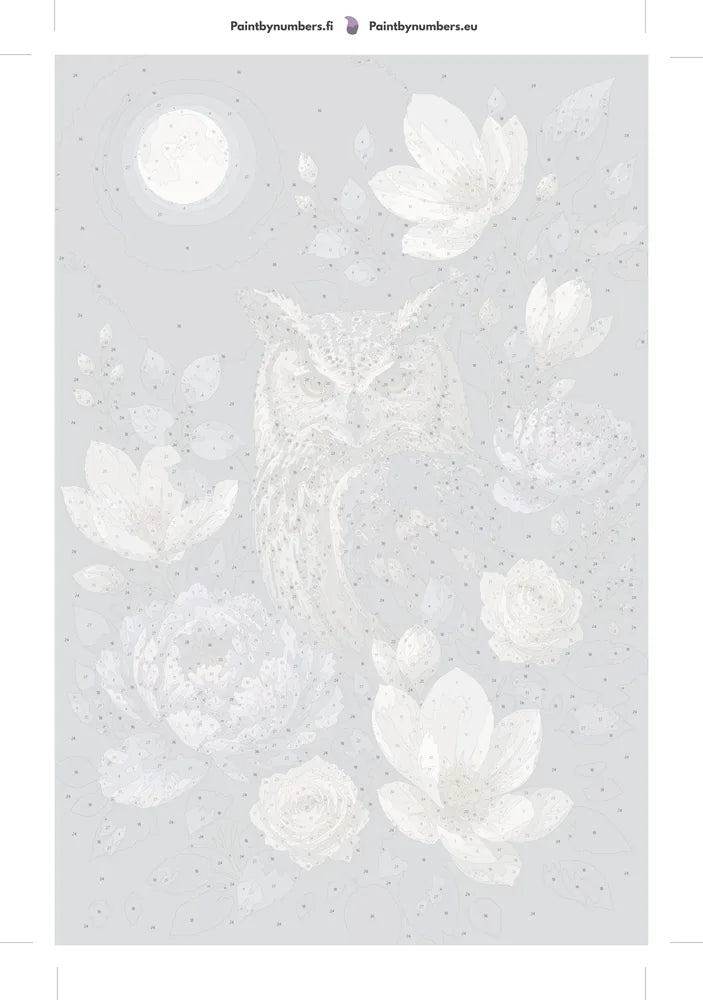 Numeroitu kangas - Owl and Flowers at Night 40x60cm
