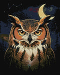Thumbnail for Timanttikuvio - Owl in Dark