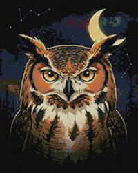 Thumbnail for Timanttikuvio - Owl in Dark