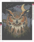 Thumbnail for Owl in Dark timanttimaalauksen liimapintainen canvas 40x50cm
